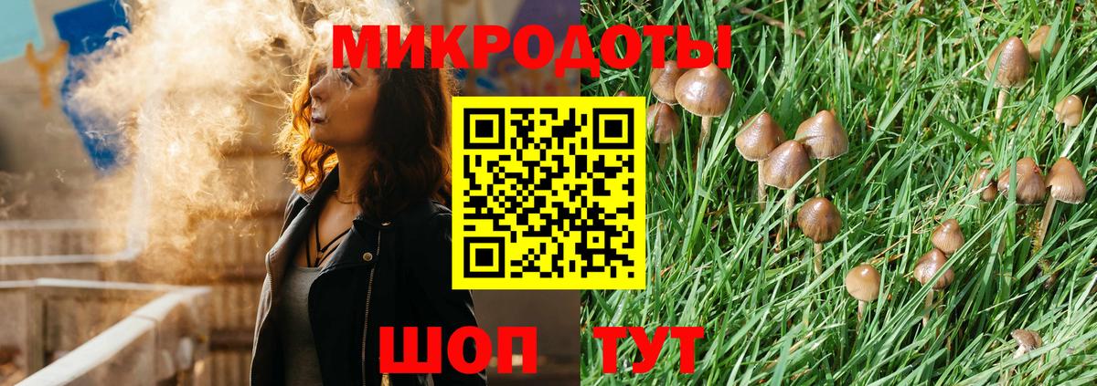 Псилоцибиновые грибы Psilocybe Кимры